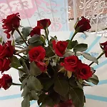Ersah 2* Kuşadası