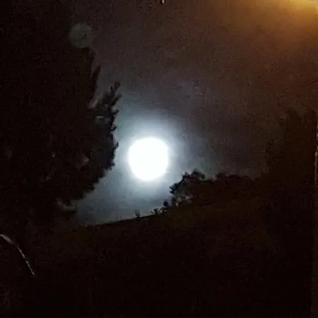Ersah Kusadası