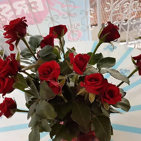 Ersah 2* 쿠사다시