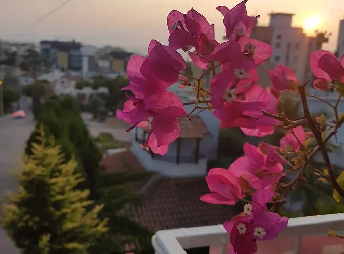 Ersah Szálloda Kusadası